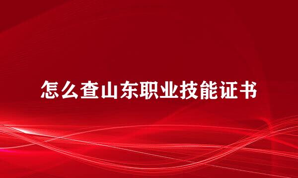 怎么查山东职业技能证书