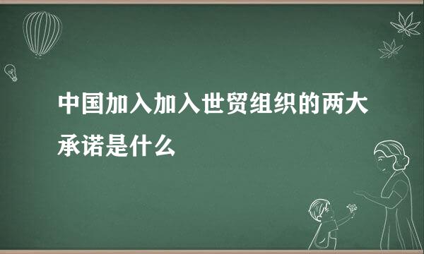 中国加入加入世贸组织的两大承诺是什么