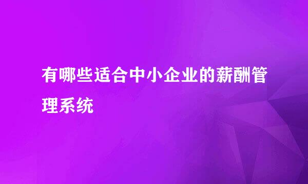 有哪些适合中小企业的薪酬管理系统