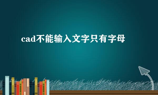 cad不能输入文字只有字母