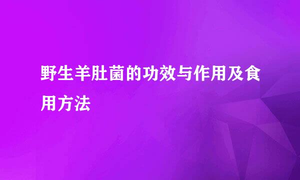 野生羊肚菌的功效与作用及食用方法