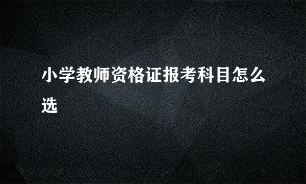 小学教师资格证报考科目怎么选