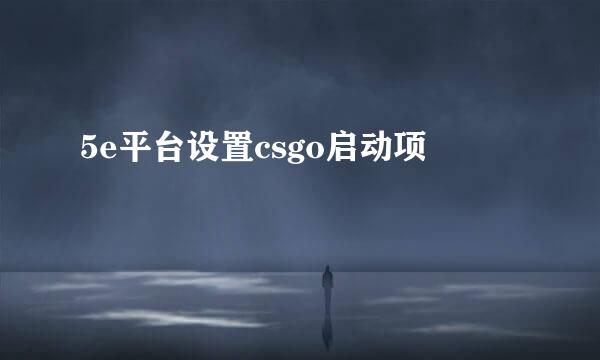 5e平台设置csgo启动项