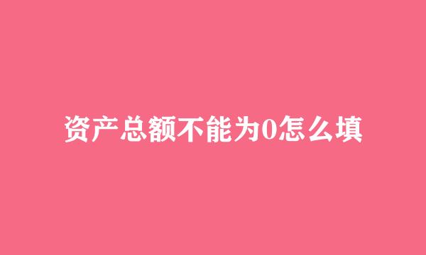 资产总额不能为0怎么填