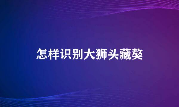 怎样识别大狮头藏獒