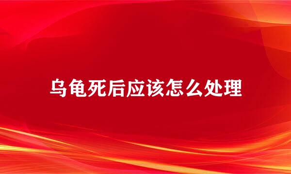 乌龟死后应该怎么处理