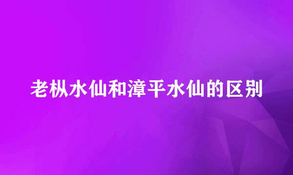 老枞水仙和漳平水仙的区别