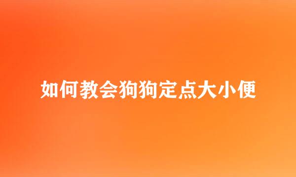 如何教会狗狗定点大小便