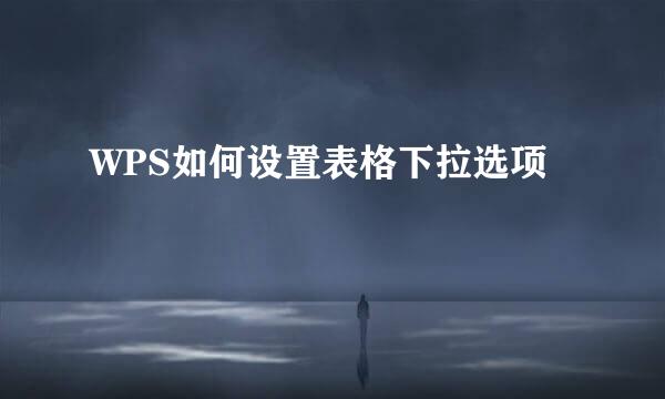 WPS如何设置表格下拉选项