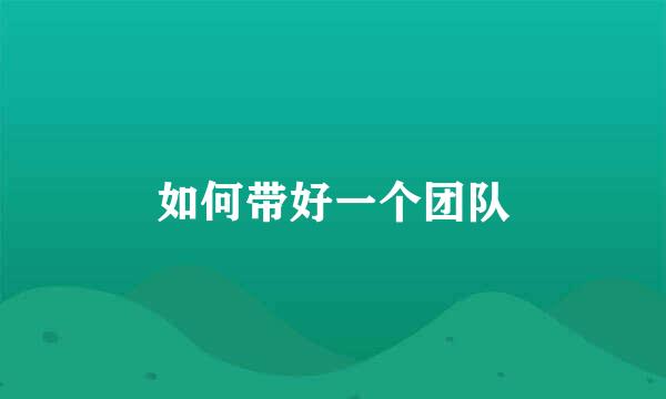 如何带好一个团队