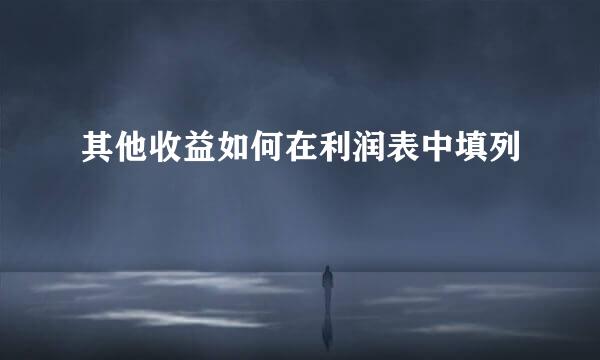 其他收益如何在利润表中填列