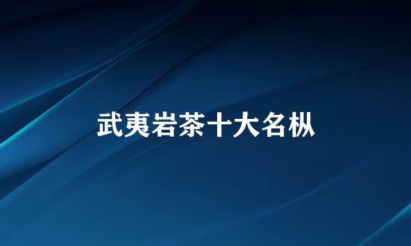 武夷岩茶十大名枞