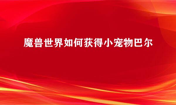 魔兽世界如何获得小宠物巴尔