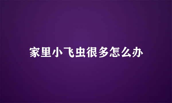 家里小飞虫很多怎么办
