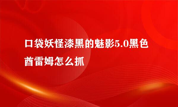 口袋妖怪漆黑的魅影5.0黑色酋雷姆怎么抓