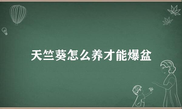 天竺葵怎么养才能爆盆