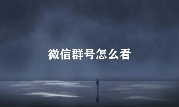 微信群号怎么看