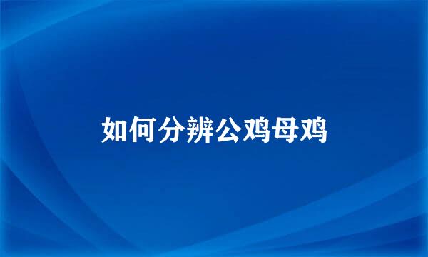 如何分辨公鸡母鸡