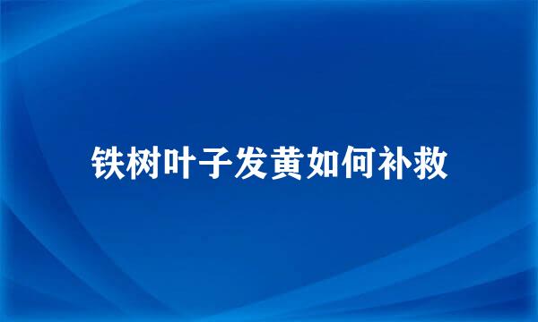 铁树叶子发黄如何补救