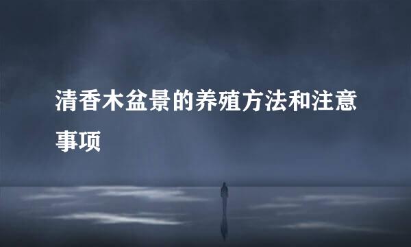 清香木盆景的养殖方法和注意事项