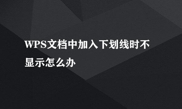 WPS文档中加入下划线时不显示怎么办