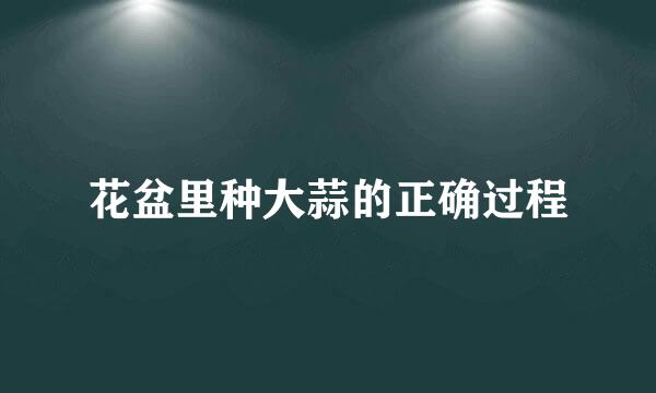 花盆里种大蒜的正确过程