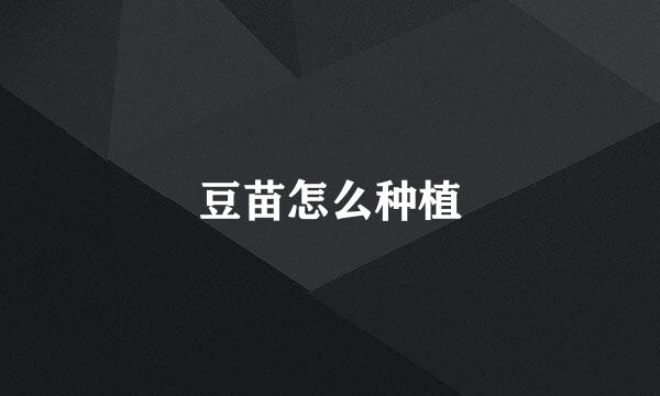 豆苗怎么种植