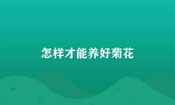 怎样才能养好菊花