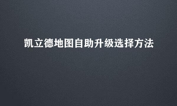 凯立德地图自助升级选择方法