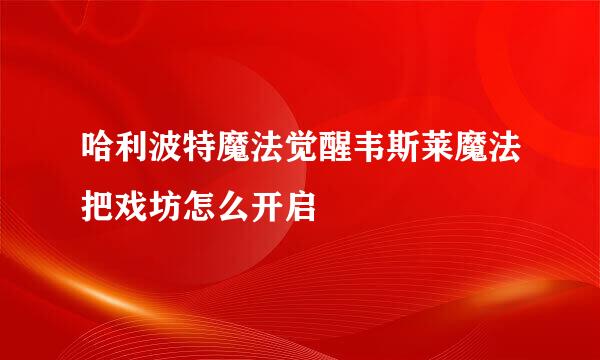 哈利波特魔法觉醒韦斯莱魔法把戏坊怎么开启
