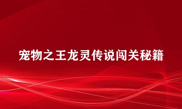 宠物之王龙灵传说闯关秘籍