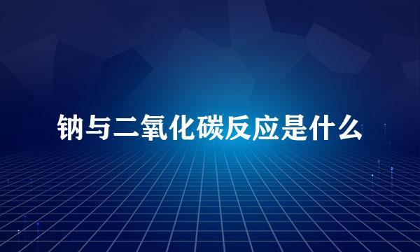 钠与二氧化碳反应是什么