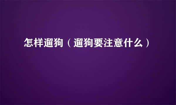 怎样遛狗（遛狗要注意什么）
