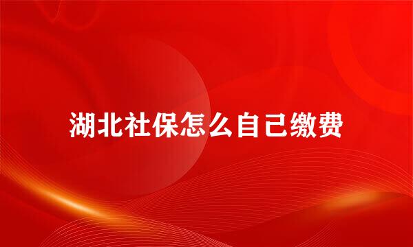湖北社保怎么自己缴费