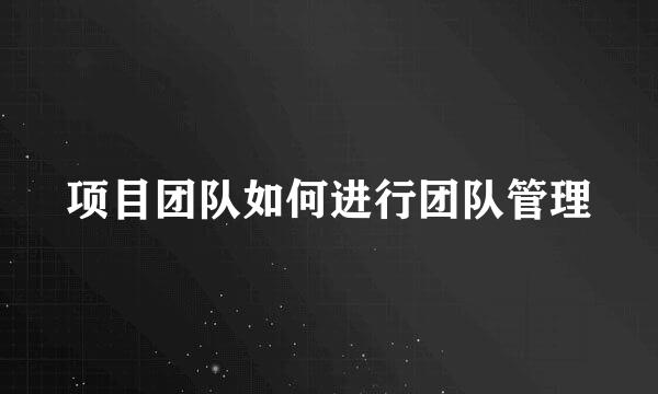 项目团队如何进行团队管理