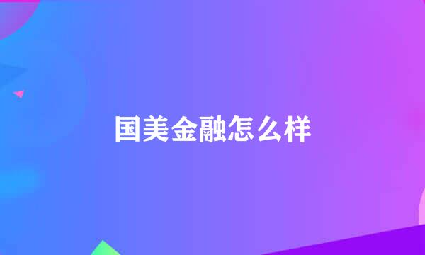 国美金融怎么样