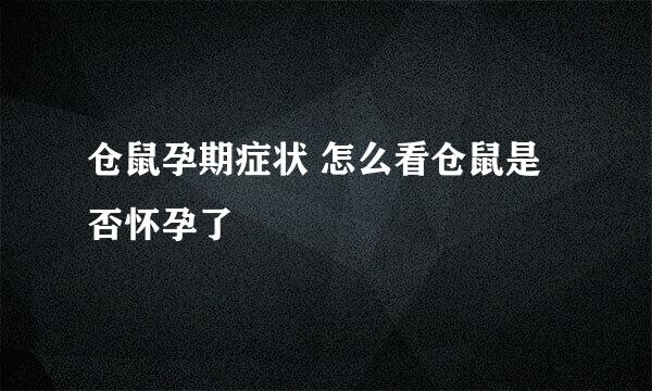 仓鼠孕期症状 怎么看仓鼠是否怀孕了