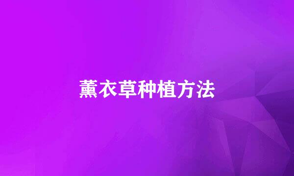 薰衣草种植方法
