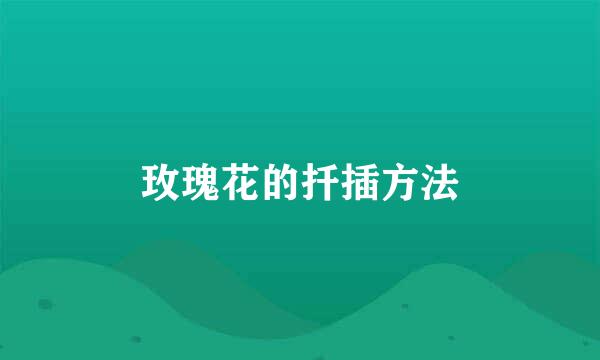 玫瑰花的扦插方法