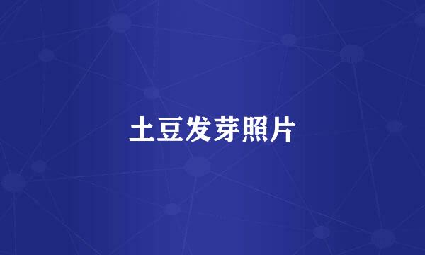 土豆发芽照片