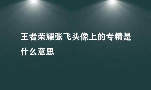 王者荣耀张飞头像上的专精是什么意思