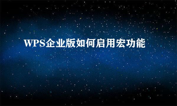 WPS企业版如何启用宏功能