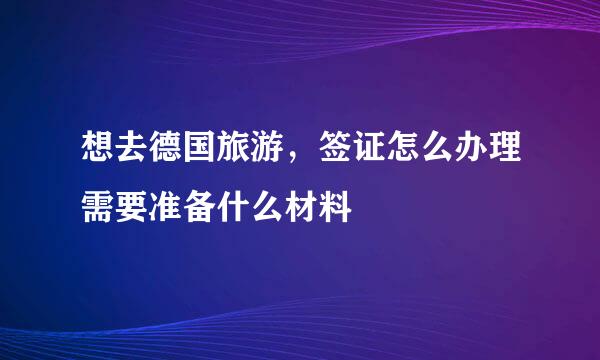 想去德国旅游，签证怎么办理需要准备什么材料