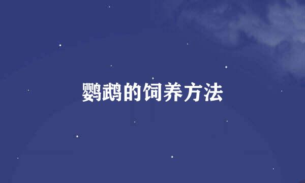 鹦鹉的饲养方法