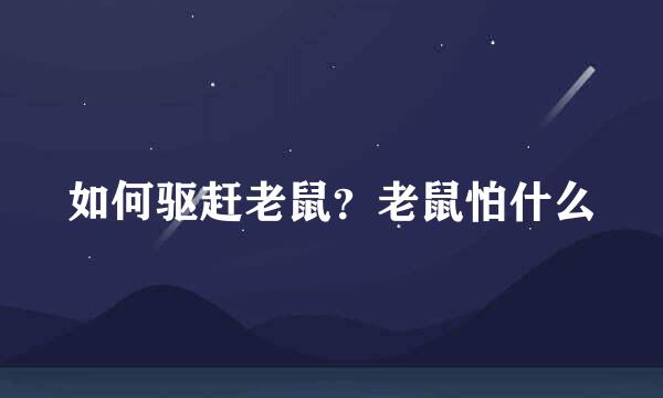 如何驱赶老鼠?老鼠怕什么