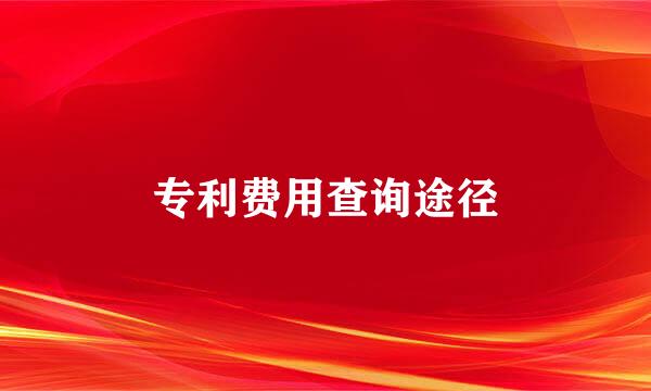 专利费用查询途径