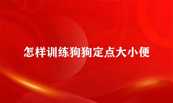 怎样训练狗狗定点大小便