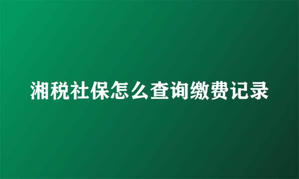湘税社保怎么查询缴费记录