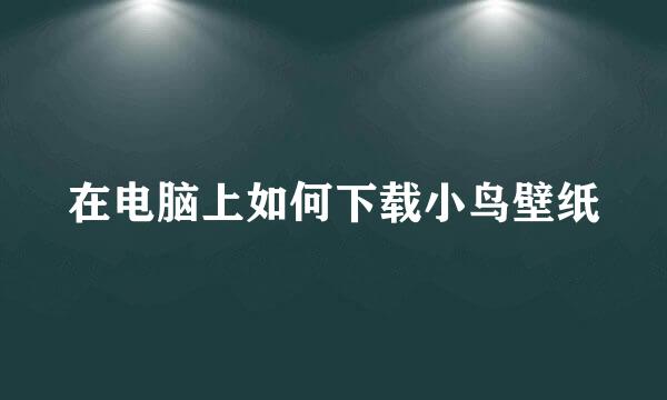 在电脑上如何下载小鸟壁纸
