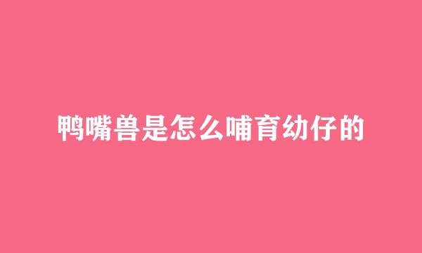 鸭嘴兽是怎么哺育幼仔的